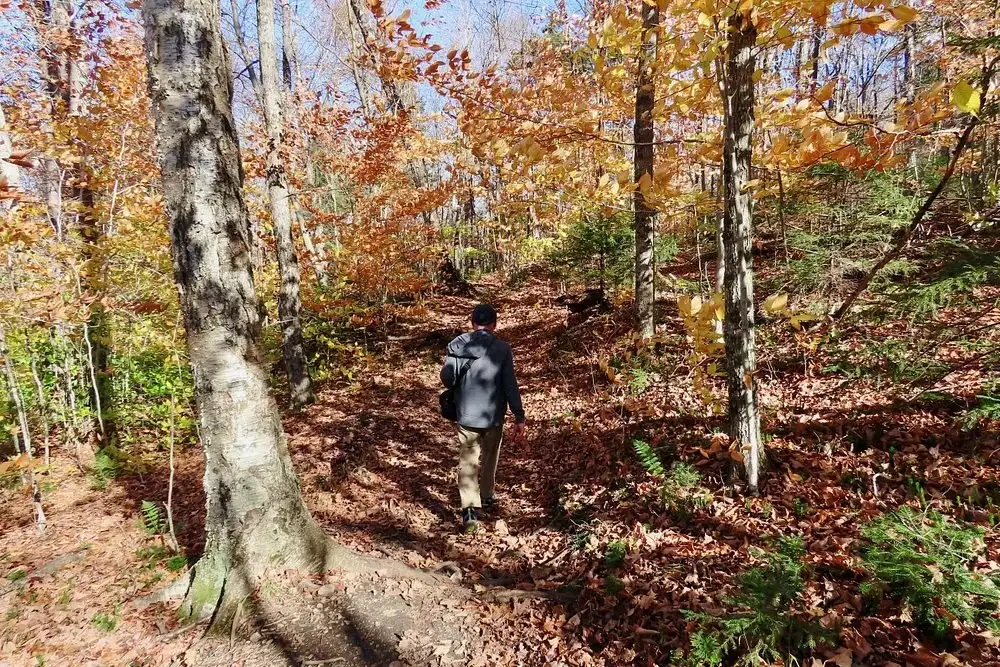 Algonquin Peak