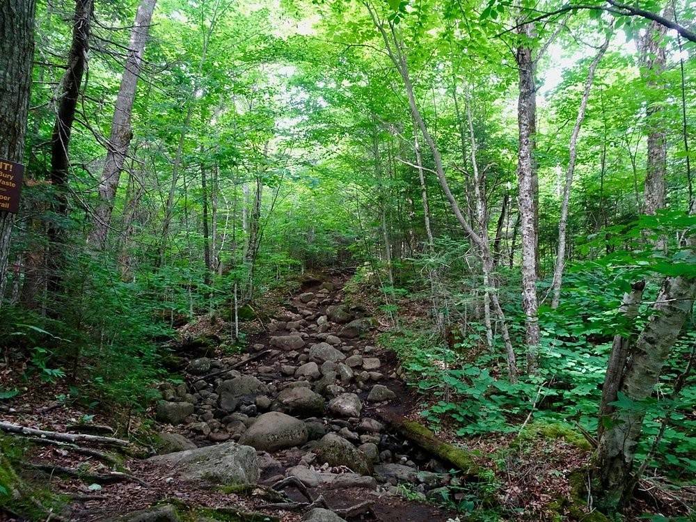 Algonquin Peak